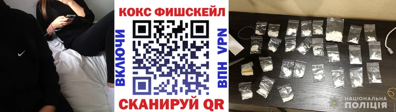 как найти закладки  Дигора  COCAIN VHQ 