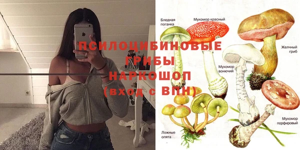 мяу мяу мука Белоозёрский