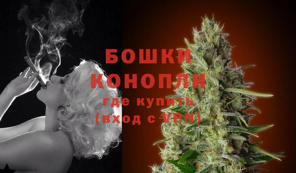 мяу мяу мука Белоозёрский