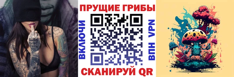 Псилоцибиновые грибы Magic Shrooms  Дигора 
