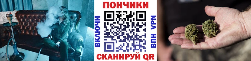 даркнет сайт  Дигора  Бошки марихуана сатива 